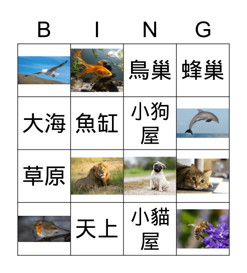 動物也有牠的家 Bingo Card