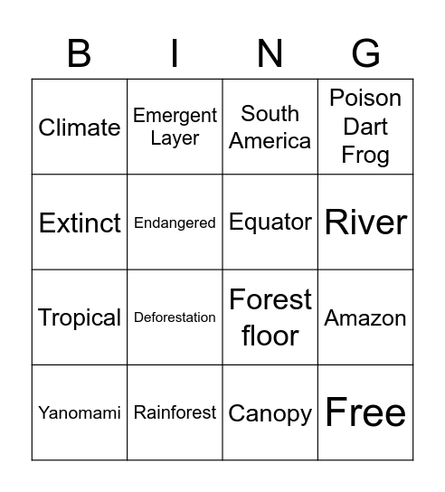 Rainforest BINGO! Bingo Card