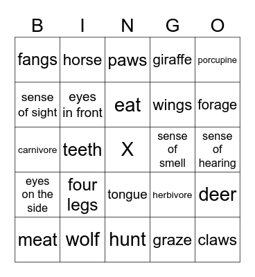 Animals Bingo Card