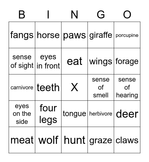 Animals Bingo Card