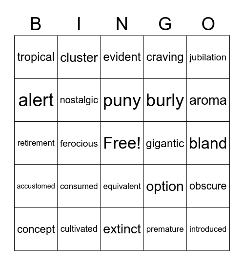 Word List 1-4 Review Bingo Card
