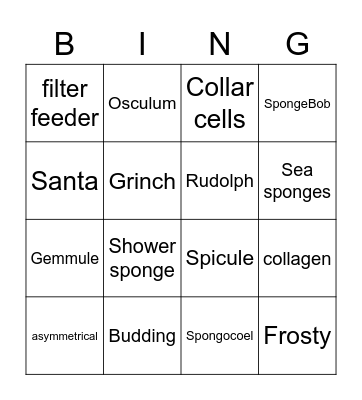 Sponge Vocab Bingo Card