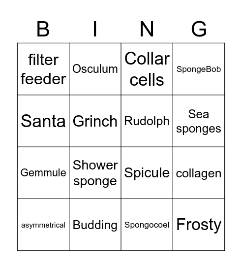 Sponge Vocab Bingo Card
