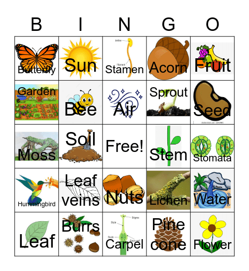 Botany Picture/Word Bingo Card