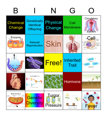 Fall Semester Final Bingo Card