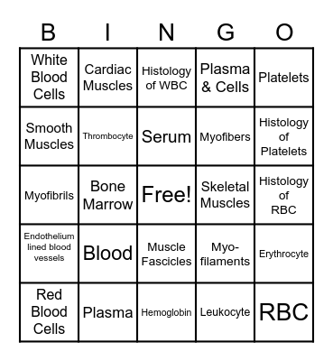 Blood & Muscles Bingo Card