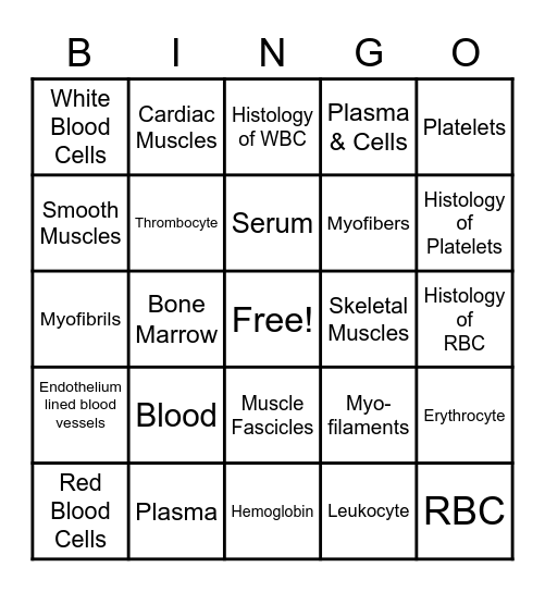 Blood & Muscles Bingo Card