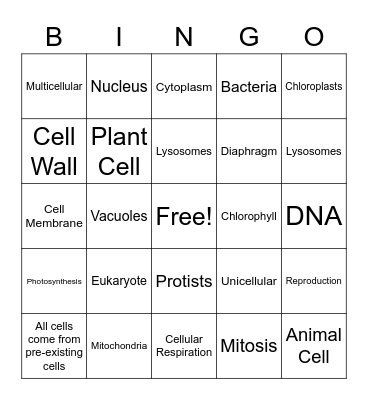 Unit 6 Bingo Card
