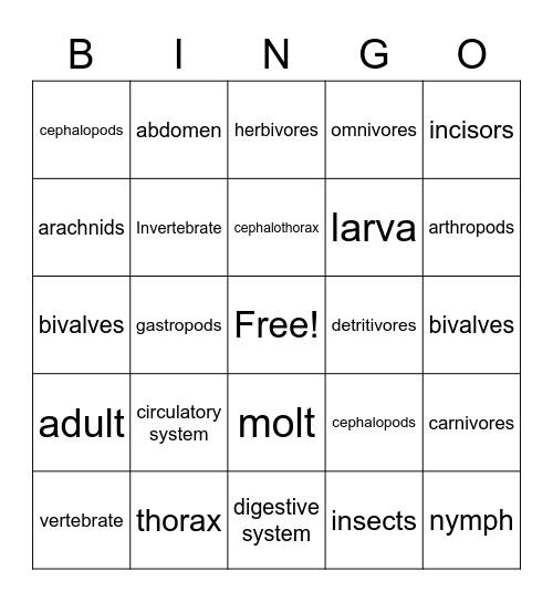 Zoology Part 2 Bingo Card