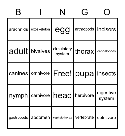 Zoology Unit 2 Bingo Card