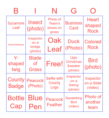 VCAC Bingo Card