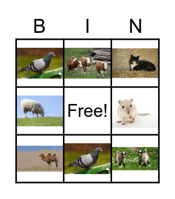 Nativity Animals Bingo Card