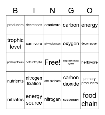 Biology Chapter 4 Bingo Card