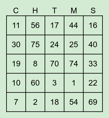 CMS BINGO BONANZA Bingo Card