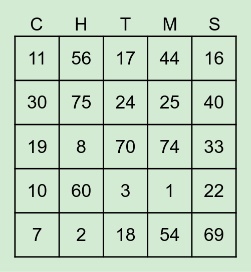 CMS BINGO BONANZA Bingo Card