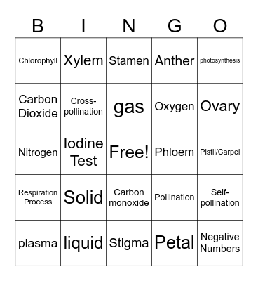 Science and Math Bingo Card