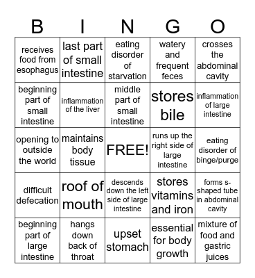DIGESTIVE SYSTEM Bingo Card