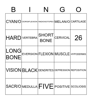 MID TERM 2016 Bingo Card