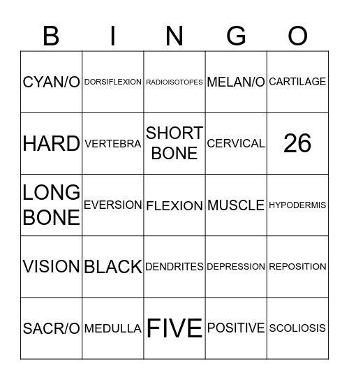 MID TERM 2016 Bingo Card