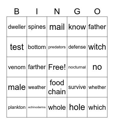 Sea Urchins Bingo Card