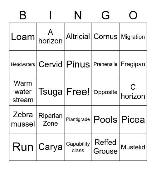 Card 2 Bingo Card