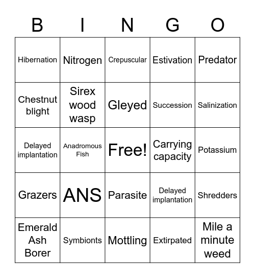 Card 3 Bingo Card