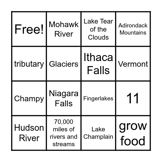 New York Water Forms Bingo Card