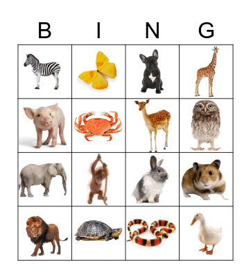 Animal Bingo Card
