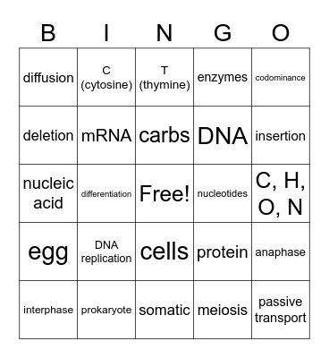 Semester Exam Bingo Card