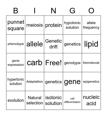 Biology 1 H Bingo Card