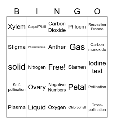 Science and Math Bingo Card