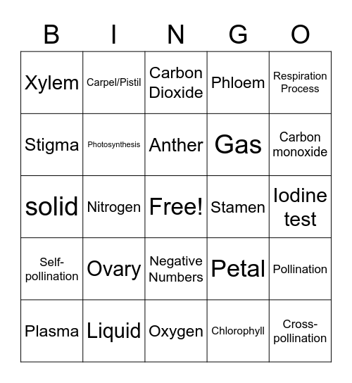 Science and Math Bingo Card