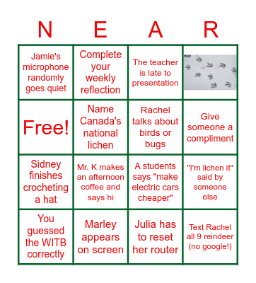Nature's NEAR Holiday Bingo! Bingo Card