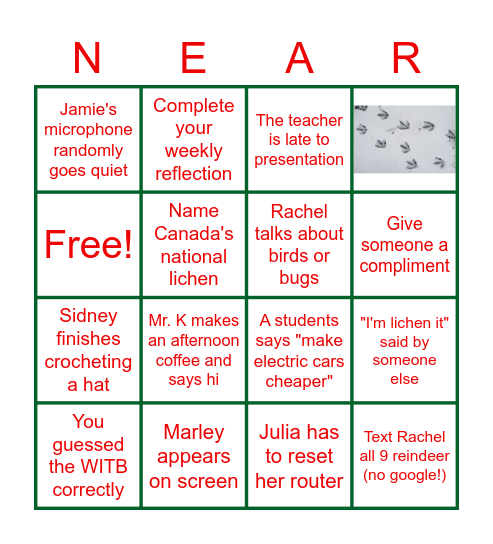 Nature's NEAR Holiday Bingo! Bingo Card