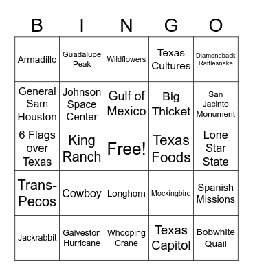 Texas Bingo Card