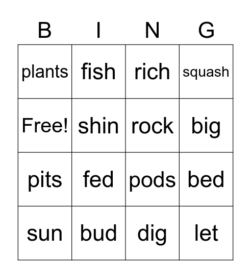 Three Sisters Bingo Card