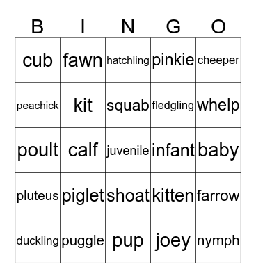 Baby animals Bingo Card