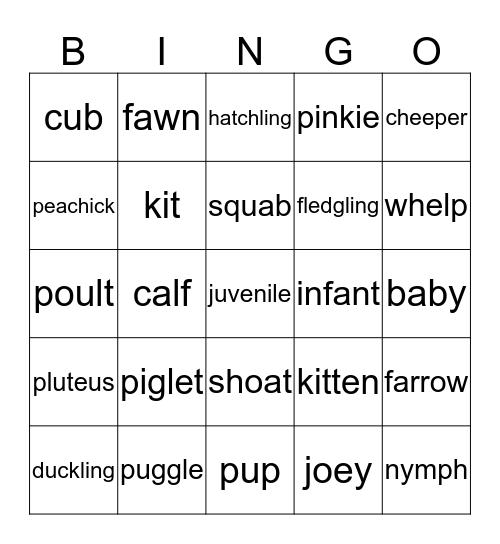 Baby animals Bingo Card