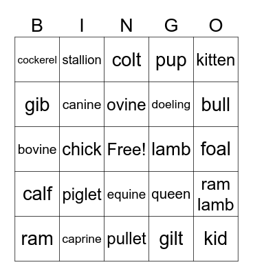 What Am I Bingo Card