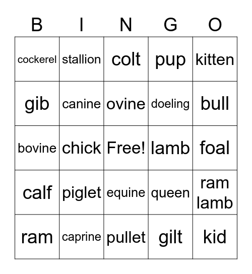 What Am I Bingo Card