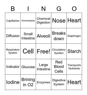Body Systems Bingo Card