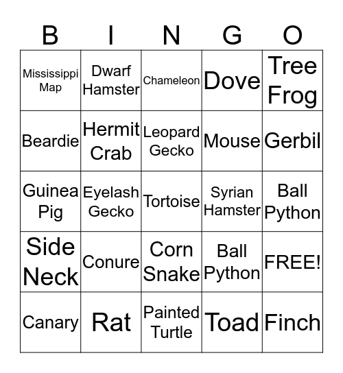 PetCare Bingo Card
