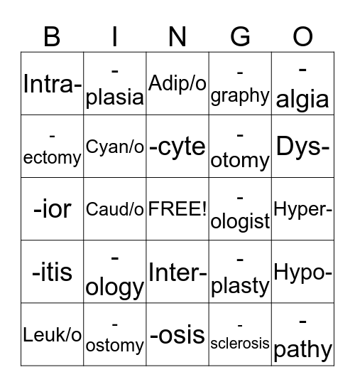 Chapter 1 and 2 Bingo Card