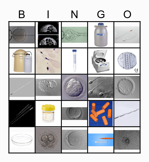 CFC Christmas Bingo Card