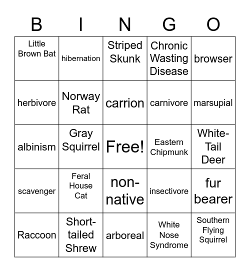 Backyard Mammal Bingo Card