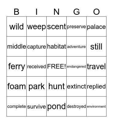 Vocabulary Review Bingo Card