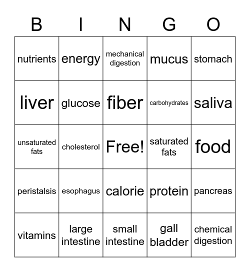 Brock Digestive Bingo Card