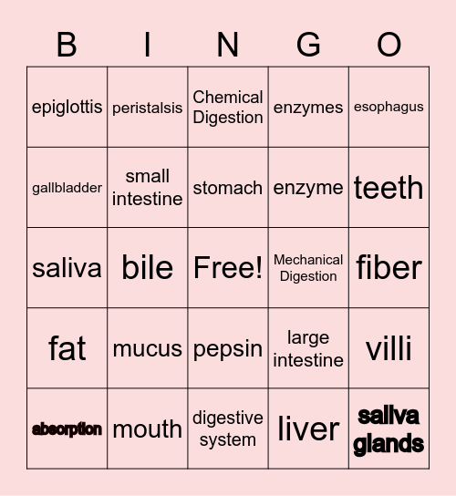 Aubrey's Digestion Card Bingo Card