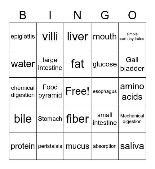 Digestion: Austin Bingo Card