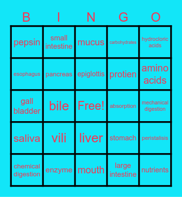 Gavin's digestion card Bingo Card